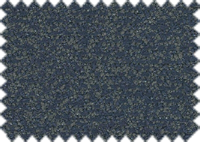 ALBA 60