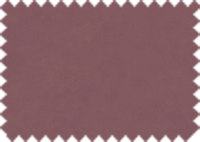 DAYTONA_HP 153