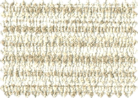 FONTANA 51