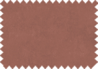 OASIS 153