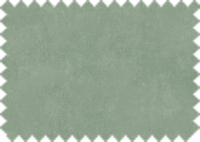 OASIS 155