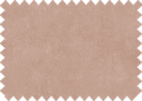 OASIS 421