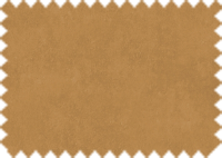 OASIS 424