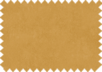 OASIS 427