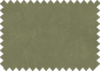 OASIS 49