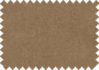 OASIS 57