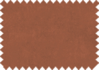 OASIS 82
